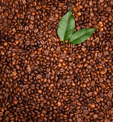 roasted coffee beans, can be used as a background