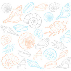 Colorful seashells