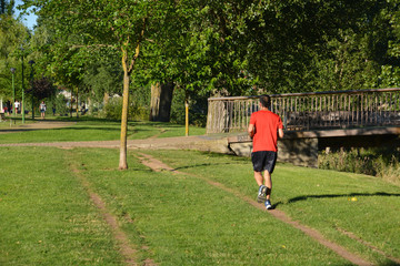 hombre corriendo en un parque