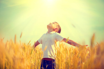 Little boy on a wheat field in the sunlight enjoying nature