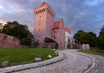 Fototapeta na wymiar Zamek królewski w Poznaniu