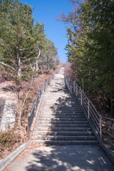 Obraz premium Gate to Chureito Pagoda in Winter, Fujiyoshida, Japan