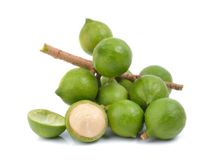fresh macadamia nut on white background