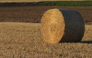 Landwirtschaft - Ackerfeld