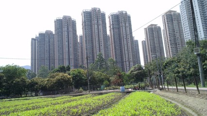 Obraz premium Farm and city