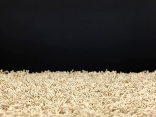Shag Carpet