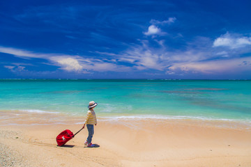 Naklejka na ściany i meble 沖縄のビーチを歩く女性