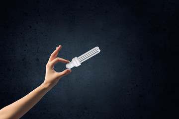 Naklejka premium Bulb in hand