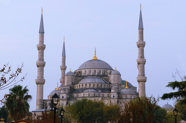 Obraz premium Blue Mosque point of view from sultanahmet, Istanbul, Turkey