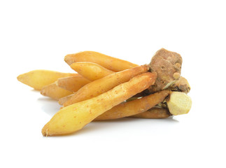 Fingerroot, Kaempfer, Boesenbergia on white background