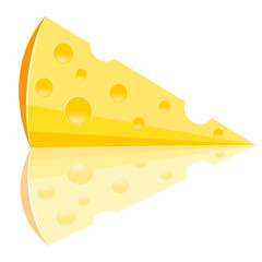Piece of the cheese