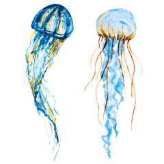 Naklejka premium Watercolor jellyfish