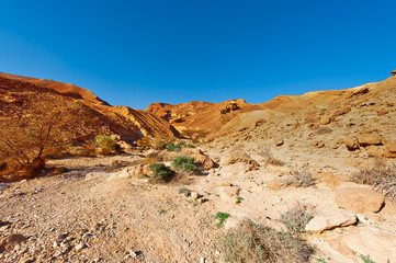 Desert