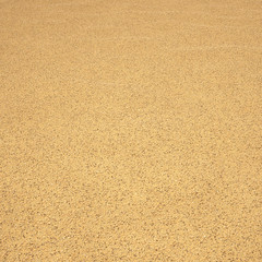 3D illustration. Texture of sand, earth