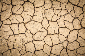 dry cracked of earth