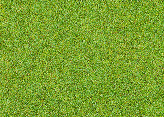 Fototapeta premium green grass pattern