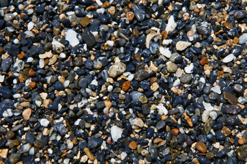 Wet Multicolored Pebbles on Seashore