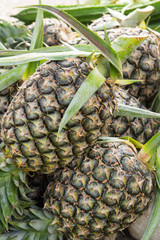 pineapple fruit background