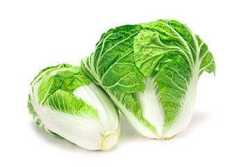 fresh chinese cabbage  on a white background