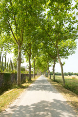 Paysage du sud ouest