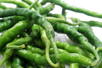 ひもとうがらし