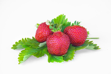 Three ripe strawberries on a leaves