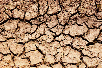 Dry cracked earth