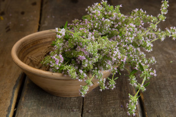  Blooming thyme in a ceramic plate