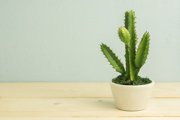 Cactus on wooden table,  vintage tone
