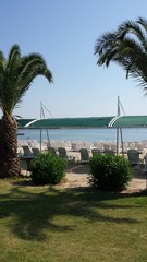Fototapeta na wymiar Empty beach chairs on the beach under palm trees