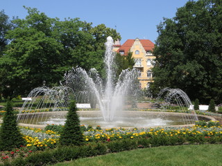 Fototapeta premium Freiberger Stadtpark