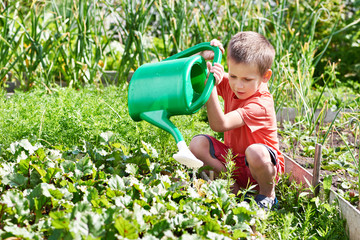 Little boy pours garden © Sergey Ryzhov