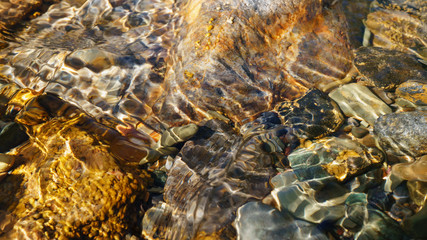 Crystal clear water of small brook in Altai steppe in Chagan-Ouzun place
