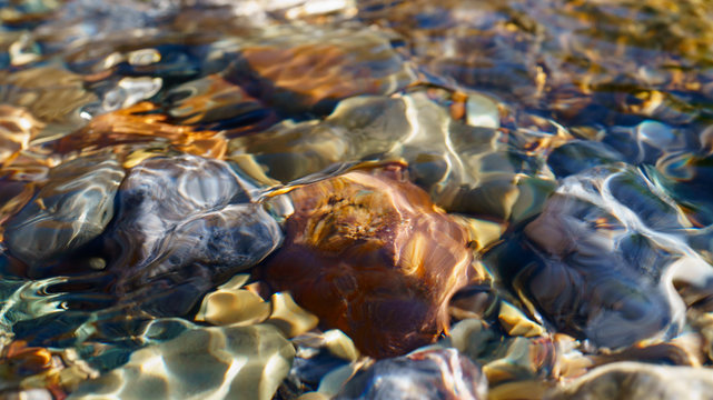 Crystal clear water of small brook in Altai steppe in Chagan-Ouzun place