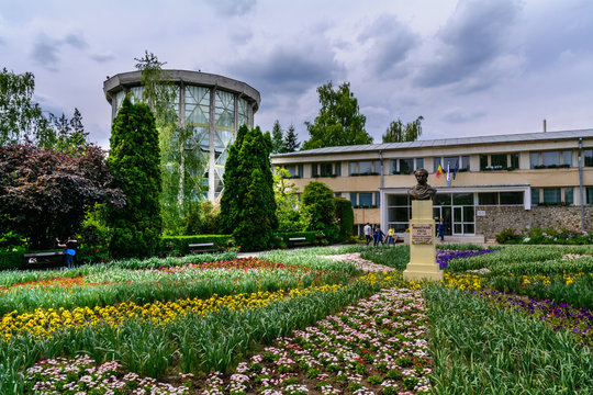 IASI, ROMANIA - JUNE 28, 2015: Beautiful decorative flowers in front of main entrance of  botanical garden
