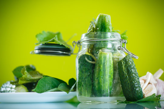 Gewürzgurken Bilder – Durchsuchen 403,213 Archivfotos, Vektorgrafiken