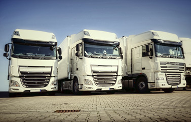 Obraz na płótnie Canvas Transportgewerbe - drei abgestellte weiße Laster im Depot 