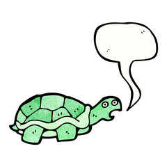 cartoon tortoise