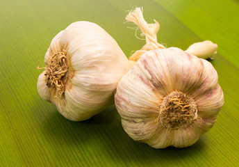 fresh garlic on green board close up