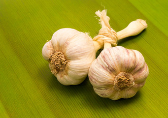 fresh garlic on green board close up