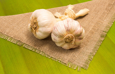 fresh garlic on green board close up