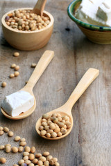 Soybeans and tofu