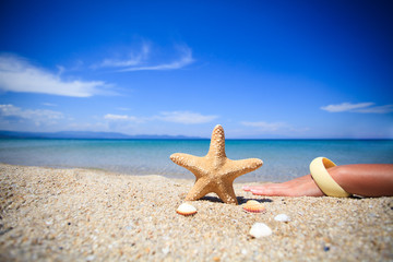Fototapeta na wymiar Starfish On The Beach