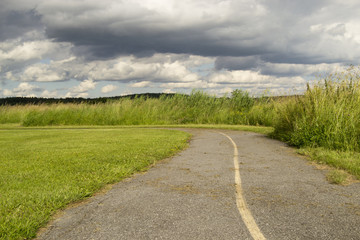 Beautiful little road / path in the country (nature background, wallpaper)