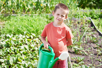 Little boy with watering can in vegetable garden