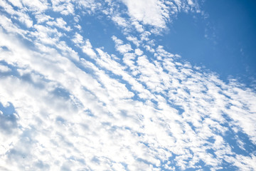 Obraz premium blue sky and clouds