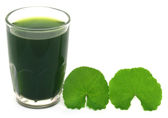 Medicinal thankuni leaves with extract