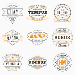 Set of Hipster Vintage Labels, Logotypes, Badges. Thin Line Design Templates