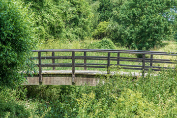 Fototapeta na wymiar Holzbrücke durch den Wald