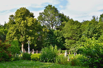 Obraz premium Cemetery garden - between the green and flowers 